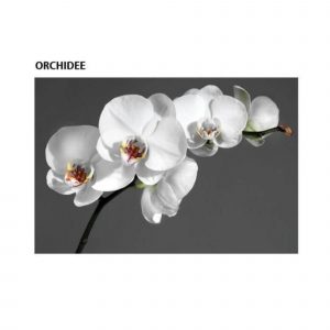 Bildheizung mit dem Motiv einer Orchidee