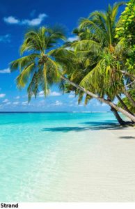 Bildheizung Motiv Strand